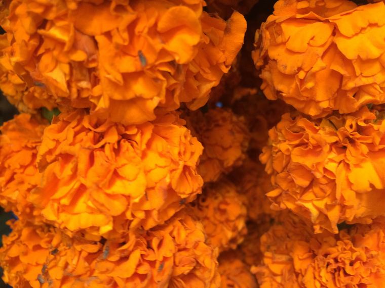 Bright marigold garlands